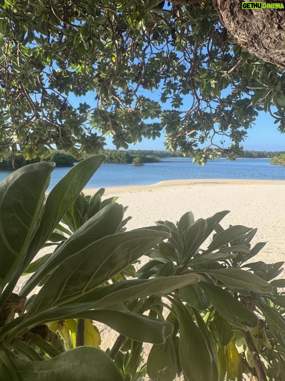 Laura Smet - 7.5K Likes - Le plus bel endroit du monde 🙏 merci @constancehotels #ilemaurice🇲🇺 #paradis #luckygirl❤️ #holidays @ericrittercelebrities ☀️🌈🐬🌴🌞