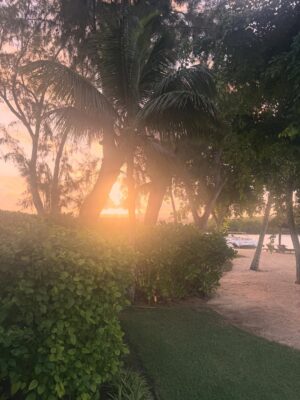 Laura Smet Instagram - Le plus bel endroit du monde 🙏 merci @constancehotels #ilemaurice🇲🇺 #paradis #luckygirl❤️ #holidays @ericrittercelebrities ☀️🌈🐬🌴🌞