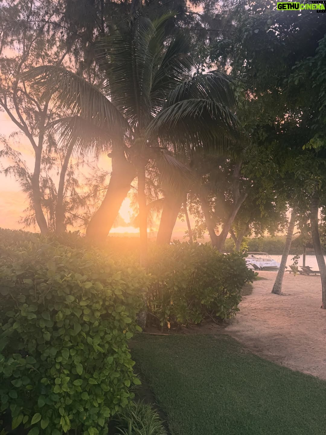 Laura Smet - 7.5K Likes - Le plus bel endroit du monde 🙏 merci @constancehotels #ilemaurice🇲🇺 #paradis #luckygirl❤️ #holidays @ericrittercelebrities ☀️🌈🐬🌴🌞