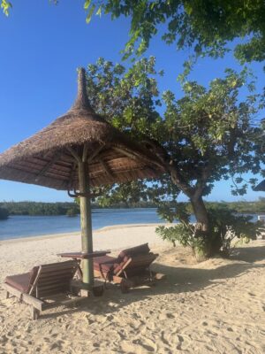 Laura Smet Instagram - Le plus bel endroit du monde 🙏 merci @constancehotels #ilemaurice🇲🇺 #paradis #luckygirl❤️ #holidays @ericrittercelebrities ☀️🌈🐬🌴🌞