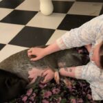 Lena Dunham