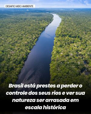 Letícia Sabatella Instagram - Soberania Brasileira em risco! Rios sendo vendidos para empresas estrangeiras. Destruição ambiental! Urgente! @povos__originarios