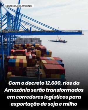Letícia Sabatella Instagram - Soberania Brasileira em risco! Rios sendo vendidos para empresas estrangeiras. Destruição ambiental! Urgente! @povos__originarios