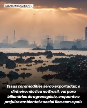 Letícia Sabatella Instagram - Soberania Brasileira em risco! Rios sendo vendidos para empresas estrangeiras. Destruição ambiental! Urgente! @povos__originarios