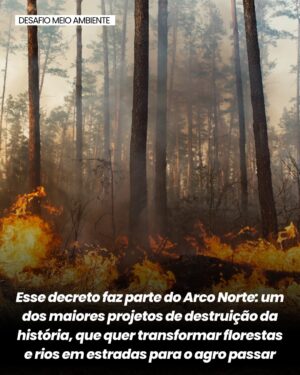 Letícia Sabatella Instagram - Soberania Brasileira em risco! Rios sendo vendidos para empresas estrangeiras. Destruição ambiental! Urgente! @povos__originarios