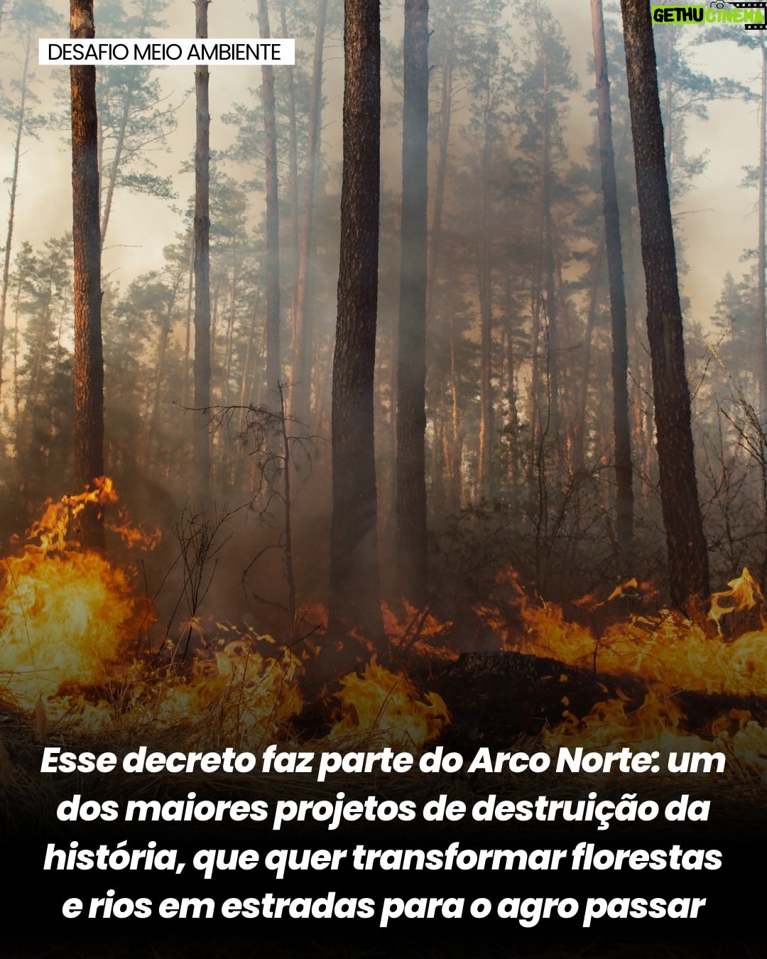 Letícia Sabatella - 8.4K Likes - Soberania Brasileira em risco! Rios sendo vendidos para empresas estrangeiras. Destruição ambiental! Urgente! @povos__originarios