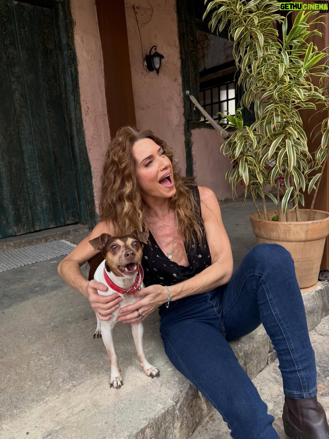 Leticia Spiller - 26.4K Likes - Completamente apaixonada por minha parceira de cena! 🥰❤️🤩 #rabıta #sofrencia #coraçãoacelerado 
@adestramento_comandoemacao

Registros da minha filhota querida @isadoracruz 🩵