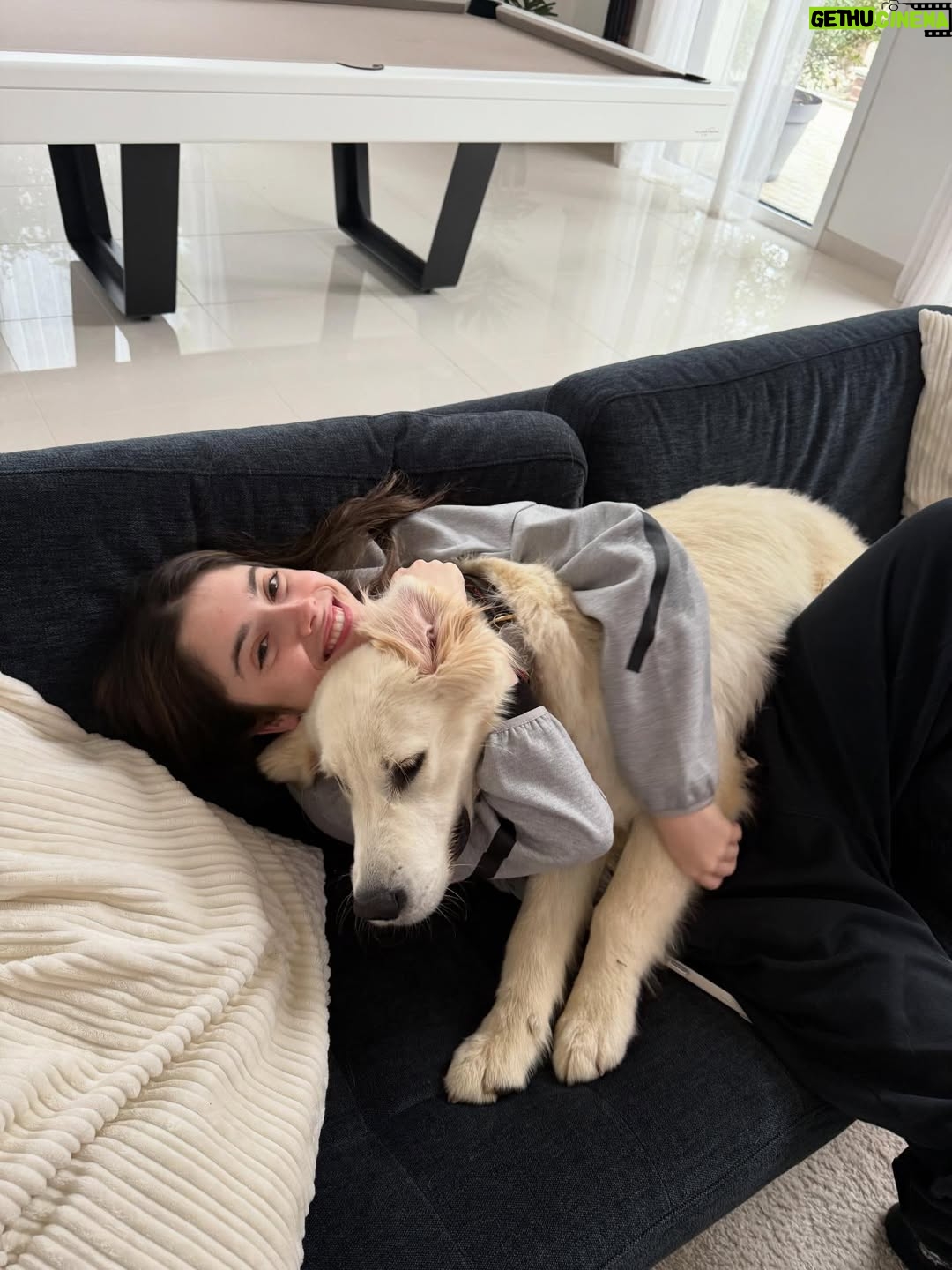 Madalena Aragão - 78K Likes - Faz hoje um ano que te adotamos e foi a melhor escolha da nossa vida 🧡 amo-te bala 🧡 ou de uma maneira que tu percebas, woof woof woof woof 🧡