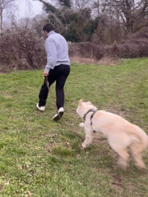 Madalena Aragão Instagram - Faz hoje um ano que te adotamos e foi a melhor escolha da nossa vida 🧡 amo-te bala 🧡 ou de uma maneira que tu percebas, woof woof woof woof 🧡