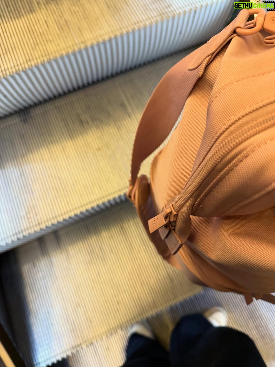 Madalena Aragão - 64.2K Likes - last couple of days 🥐