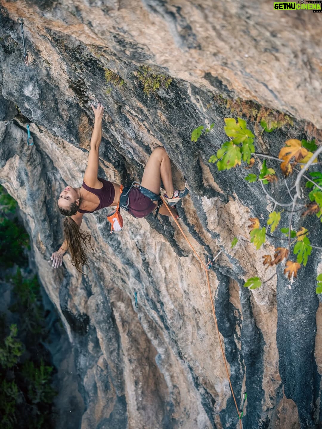 Margo Hayes - 15.4K Likes - GANJA TIME 8b  ☁️🩰🤍
my first in three years. what a beautiful feeling.🙈 not bad for a girl who’s never smoked a single thing. 🌬️🚭
climbing: 🆙high. lungs: still pure. 🫁🪽

.
📷 @javipec ✩
.
@petzl_official @frictionlabs @lasportivagram