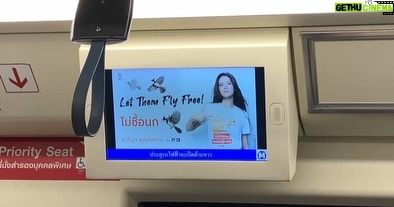 Maria Lynn Ehren - 1.5K Likes - Birds deserve to live freely—not suffer in cages 🕊️

@marialynnehren joins PETA in Bangkok to urge everyone to never buy birds. This powerful message is now appearing on over 1,000 screens across Bangkok’s MRT system, reminding millions of people that 𝐞𝐯𝐞𝐫𝐲 𝐚𝐧𝐢𝐦𝐚𝐥 𝐢𝐬 𝐬𝐨𝐦𝐞𝐨𝐧𝐞.

📸: @photonogrid | Hair: @beer_rapee | Makeup: @katai_makeup