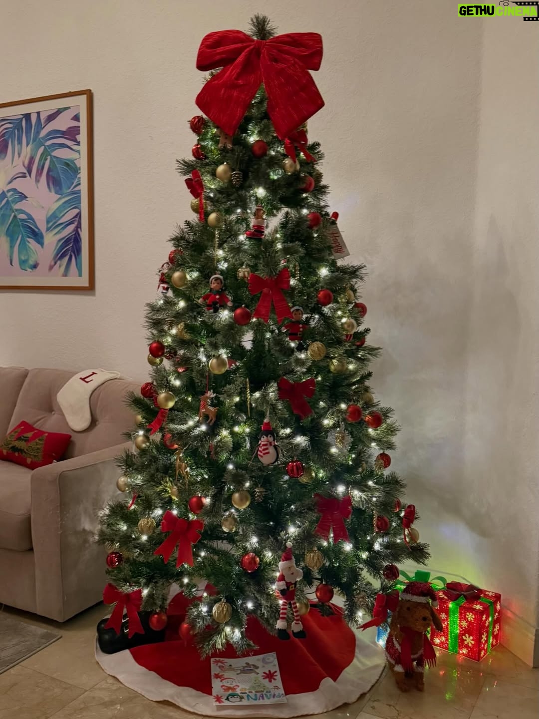 Maura Rivera - 43.4K Likes - Nada más lindo que compartir con la familia esta fecha tan especial y mágica. Que la Navidad sea momento de agradecer ,bendecir e iluminar cada hogar. 
Feliz Navidad para todos🎄❤️ ✨