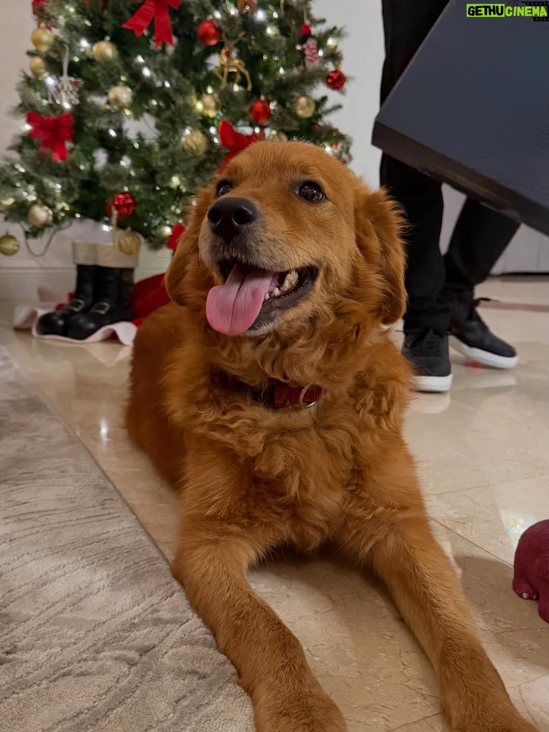Maura Rivera - 43.4K Likes - Nada más lindo que compartir con la familia esta fecha tan especial y mágica. Que la Navidad sea momento de agradecer ,bendecir e iluminar cada hogar. 
Feliz Navidad para todos🎄❤️ ✨