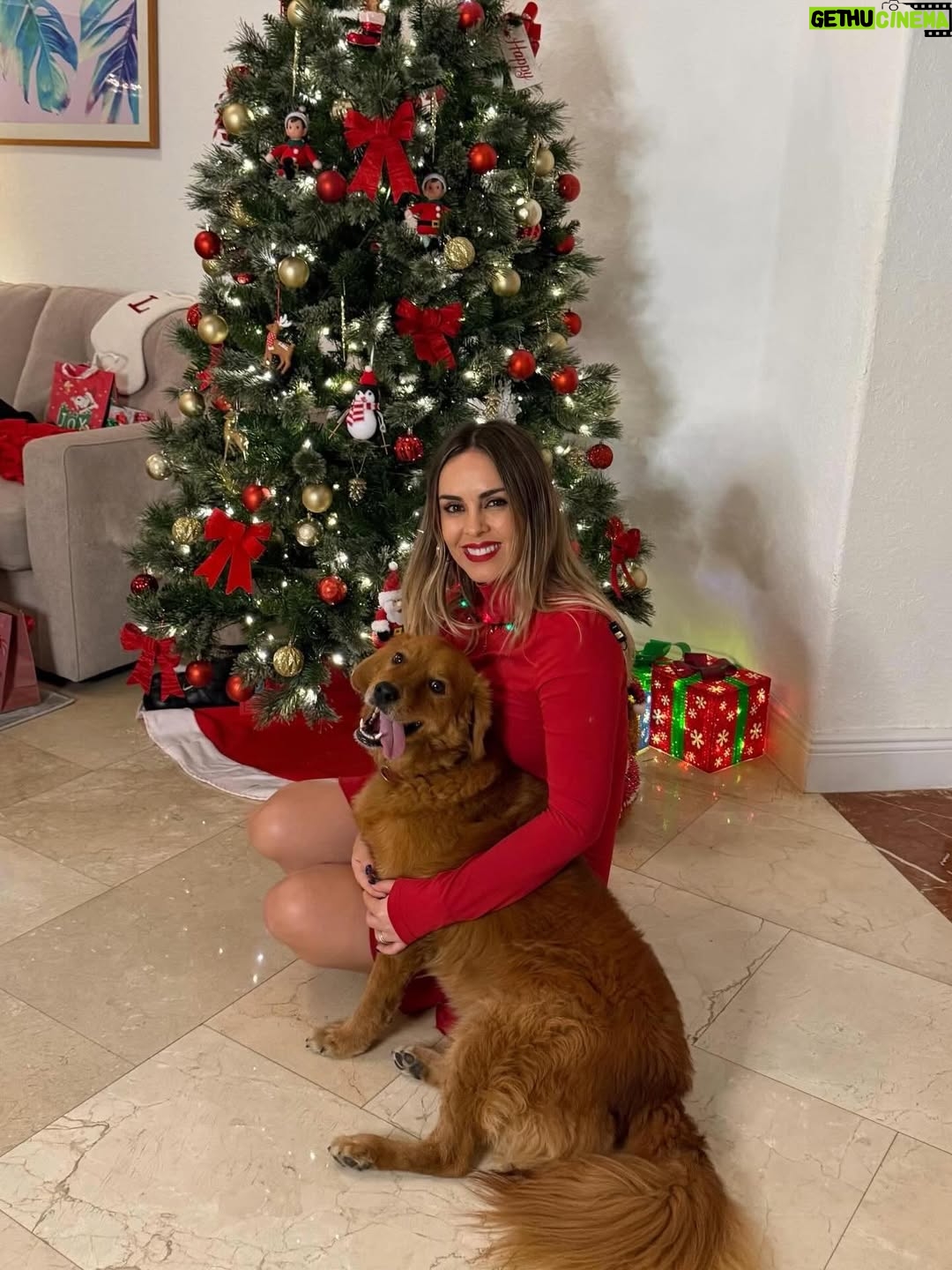 Maura Rivera - 43.4K Likes - Nada más lindo que compartir con la familia esta fecha tan especial y mágica. Que la Navidad sea momento de agradecer ,bendecir e iluminar cada hogar. 
Feliz Navidad para todos🎄❤️ ✨