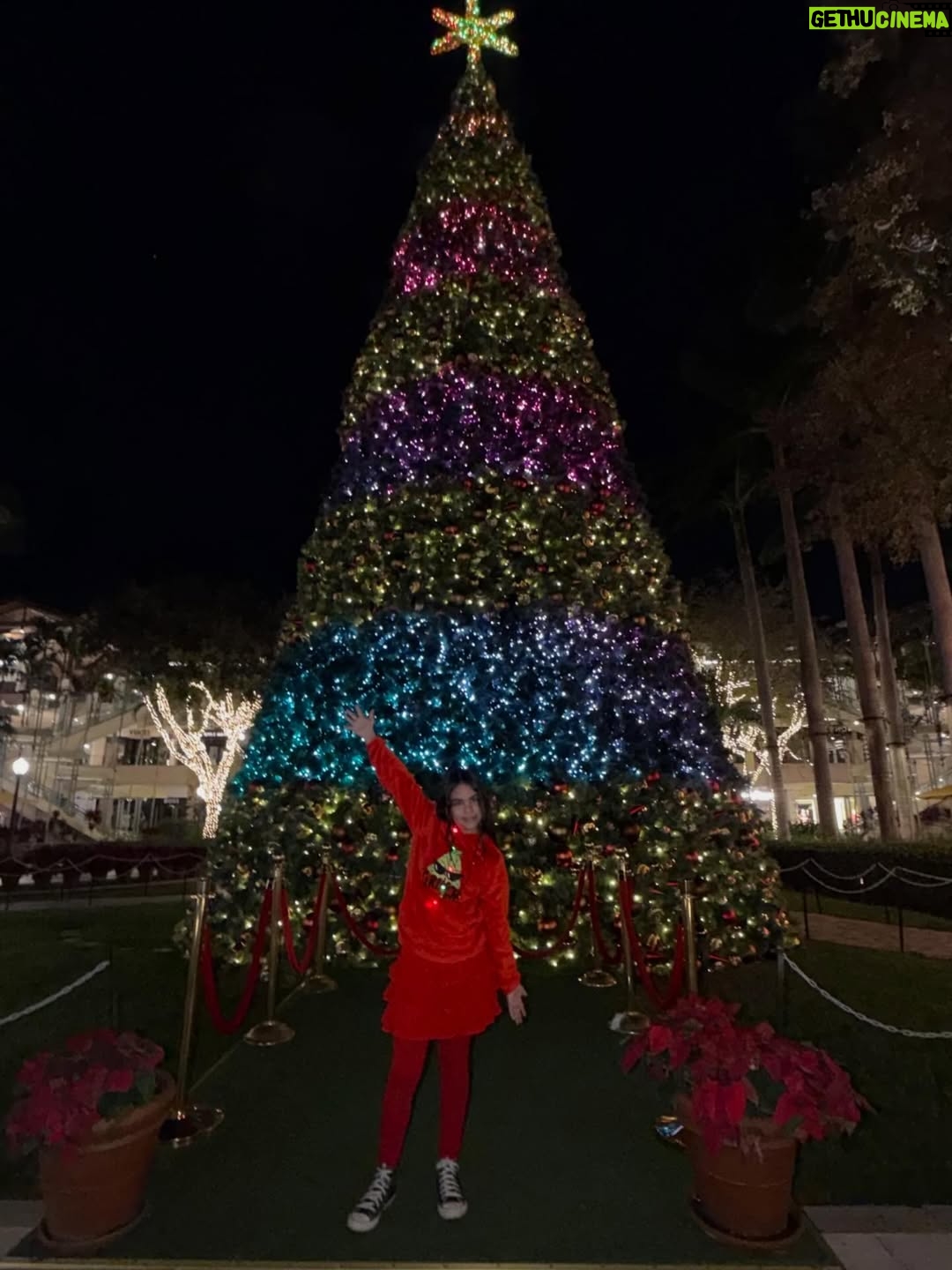 Maura Rivera - 43.4K Likes - Nada más lindo que compartir con la familia esta fecha tan especial y mágica. Que la Navidad sea momento de agradecer ,bendecir e iluminar cada hogar. 
Feliz Navidad para todos🎄❤️ ✨