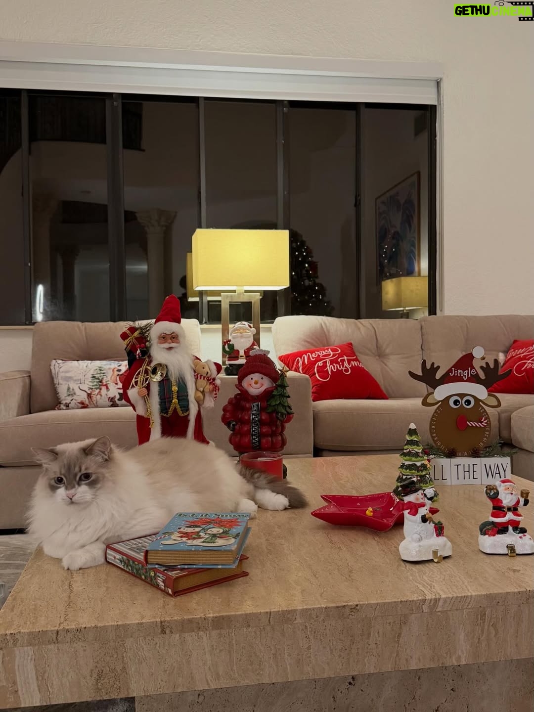 Maura Rivera - 43.4K Likes - Nada más lindo que compartir con la familia esta fecha tan especial y mágica. Que la Navidad sea momento de agradecer ,bendecir e iluminar cada hogar. 
Feliz Navidad para todos🎄❤️ ✨