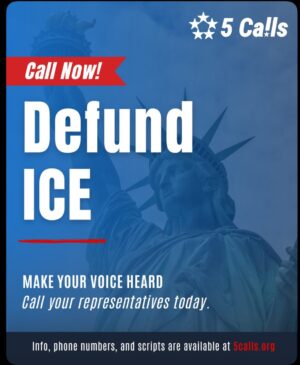 Megan Stalter Instagram - ‼️CALL YOUR SENATORS TO ENCOURAGE THEM TO DEFUND AND DISBAND ICE‼️ 

It may feel intimidating but 5calls.org makes it so easy. You can put in your location and can click on a topic you want to bring up, the site will even give you a script. Slide two has the script I use to call, slide three and four has info on who to call if you're in LA♥️ Keep talking, sharing, praying. I put all my trust in God and what is going on is pure evil.