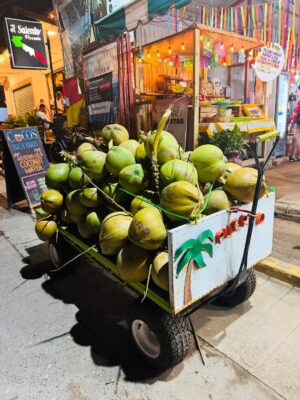 Miri Pérez-Cabrero Instagram - Hemos llegado a Puerto Escondido!!!! Tras perder un vuelo y tener que recorrer varios aeropuertos mexicanos al final llegamos 😏💘 la flor que me compré en el mercadillo de artesanía no me la saco, no paramos de comer tacos y hemos encontrado el hotel más mono del mundo @mantrahotelboutique !!!! Adiós chaqueta hola bikini yuhuuu 😂👙💘🌺💖🌸🪷 el último vídeo.. simplemente olvidé de ponerlo en el post anterior y lo he añadido a este. Feliz domingo!!!!!!! #diary