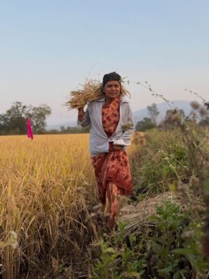 Namrata Sambherao Instagram - 🌼🌼🌼

Make up @saurabh_kapade 
Costume @anuttama_nayakavdi 

#village #life #adfilm #tradition actres