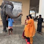 Nimeshika Radhakrishnan