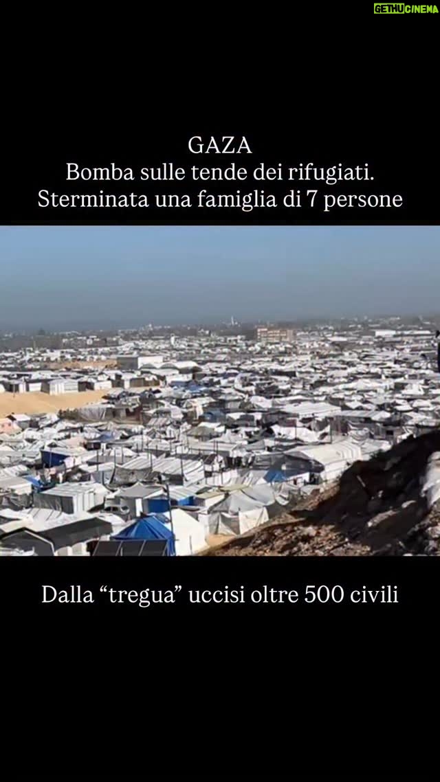 Paola Turci - 11.7K Likes - Colpire i più deboli, rifugiati nelle tende. Colpire chi non ha più nulla. È successo poco fa.

Succede ogni giorno a Gaza. E questa volta lo documentiamo con un video esclusivo di FR🔴M, girato sul campo da @mazen_breem , nel momento dell’attacco.

Una bomba è caduta su una tenda che ospitava sfollati nella zona di Asdaa, a nord di Khan Younis, nel sud della Striscia di Gaza.

Sette persone sono state uccise. Una famiglia intera.

Il nonno:
Rabhi Hammad Muhammad Abu Hudaid

I figli:
Muhammad Rabhi Hammad Abu Hudaid
Hazem Rabhi Hammad Abu Hudaid
Hajar Rabhi Hammad Abu Hudaid

I nipoti:
Lia Muhammad Rabhi Abu Hudaid
Sham Hazem Rabhi Abu Hudaid
Jibril Hazem Rabhi Abu Hudaid
 
Questi sono i loro nomi. Sono Persone. Dovremmo sapere cosa significa nonni, figli e nipoti. 

Da quando è diventato “normale” sparare sui rifugiati? 

Essere sul campo e in campo per la protezione dei diritti umani serve a impedire che la morte venga cancellata, normalizzata, archiviata. 

La verità non cade dal cielo. 
Dal cielo cadono bombe.
E per fermarle dobbiamo dare voce alla protesta che pretende vita. Dando aiuto a chi resta. 

FR🔴M è la media agency di @soleterre_it che è una ONG presente a Gaza in aiuto alla pediatra dell’Ospedale Nasser Hospital, in aiuto ai bambini e alle famiglie più vulnerabili con distribuzione di cibo e beni di prima necessità.

Si aiuta con un Bonifico Bancario intestato IBAN IT88Q0503401699000000013880 intestato a Soleterre con causale: “Gaza: Emergenza cibo e beni essenziali”
  
Oppure link in bio e storie.

Grazie a chi sostiene: @everychildismychildets @foglietta.anna @paolaturci i @didocart @lastefiandreoli 

#gaza #palestina #boardofpeace