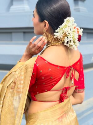 Parvathy Omanakuttan Instagram - 6 yards of pure heritage , craftsmanship, tradition that symbolises femininity, grace and the embodiment of Shakti … A Saree always ensures to make every woman beautiful and I surely am feeling it 🥰