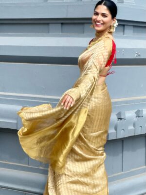 Parvathy Omanakuttan Instagram - 6 yards of pure heritage , craftsmanship, tradition that symbolises femininity, grace and the embodiment of Shakti … A Saree always ensures to make every woman beautiful and I surely am feeling it 🥰