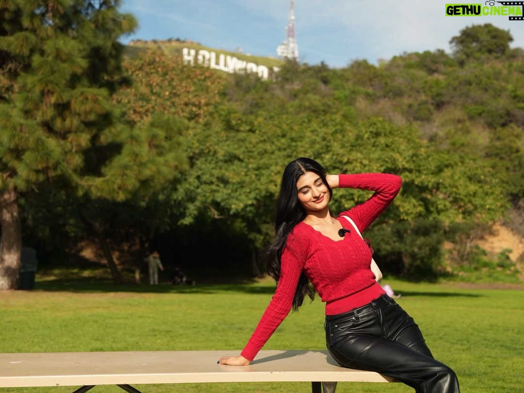 Payal Gaming - 813.3K Likes - Meet me at the Hollywood sign