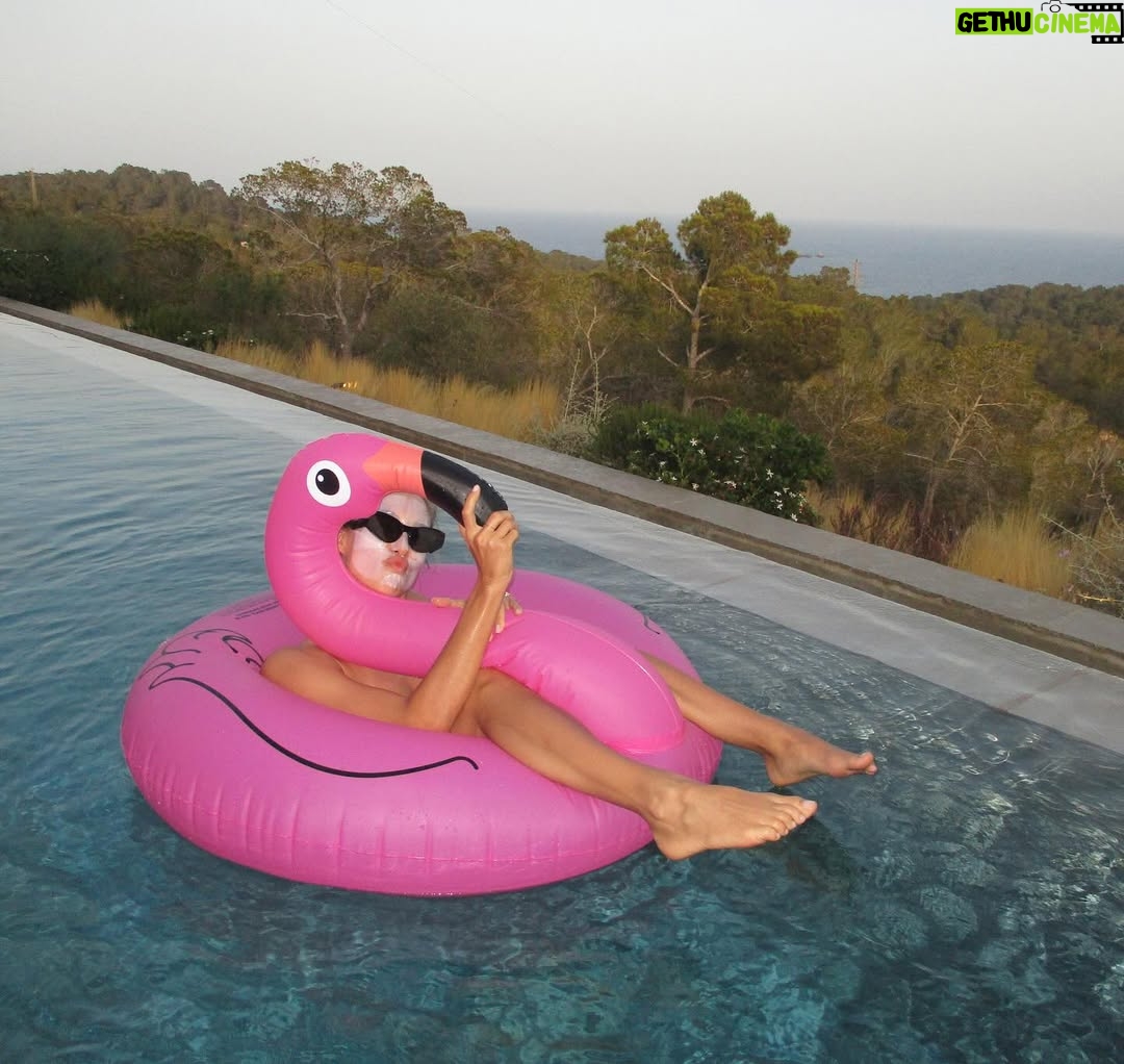 Penny Lane - 17.7K Likes - Just a couple of birds hanging out 🦩