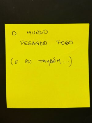 Pitty Instagram - plácida. (ou não)