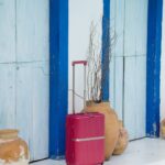 Priscila Buiar