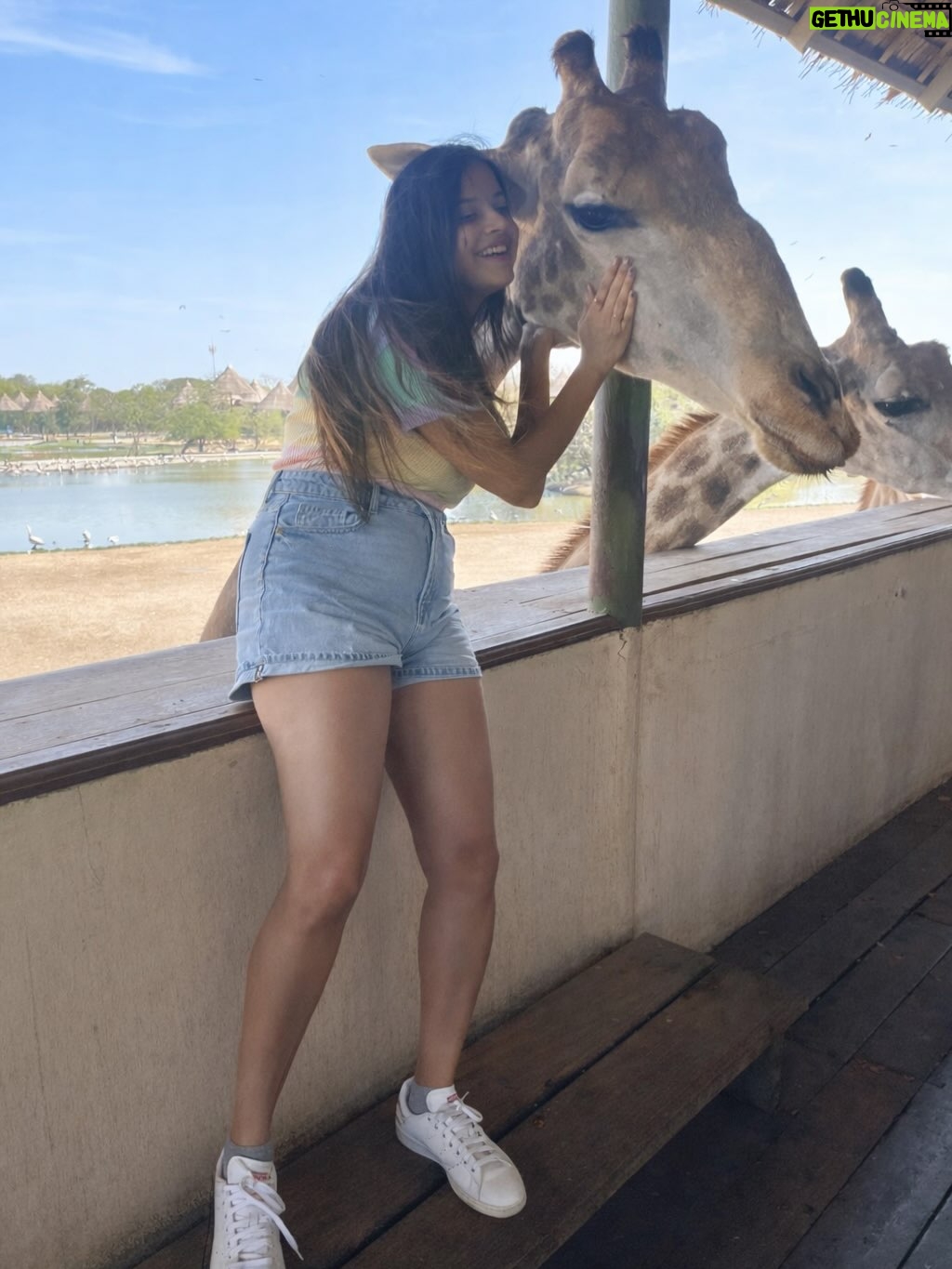 Priya Choudhury - 19.5K Likes - Some places give you photos, others give you feelings. Safari World Bangkok gave us both. A day filled with curiosity, smiles, and moments that felt alive. Grateful for experiences that turn into beautiful memories 🌿🐾🦒🦓🦁🐅