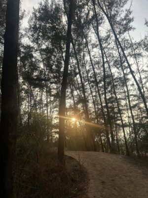 Priyanka Tendolkar Instagram - I don’t wind my spring on sundays.. 😉
.
#harukimurakami