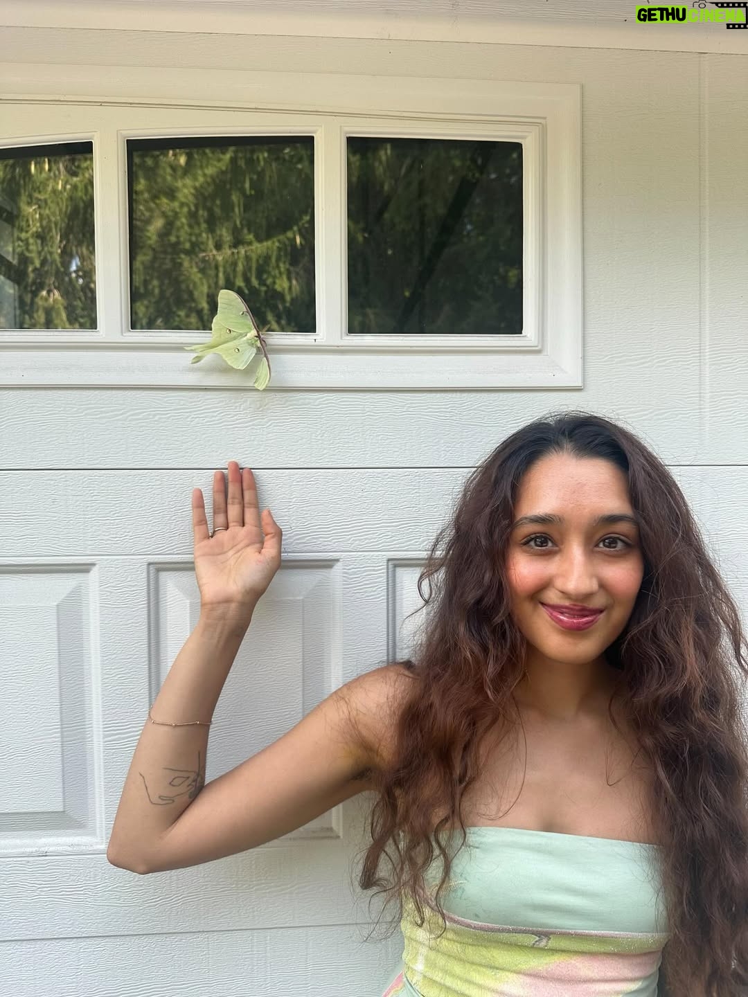 Raveena Aurora - 55.7K Likes - MAMA CAME BACK TO GIVE US A SIGN😭🦋🦋 after I was searching for the rare luna moth to see in person for the last 3 years - she appeared resting on our garage door for hours -  the same day we brought moms ashes home. All the magical coincidences of me also wearing a Luna moth dress on this day, of Pluto (the song about coming back after death as a butterfly) being her favorite song and the last song of mine she asked me to sing to her before she passed, of the same butterfly being sprawled all over the album covers and merch and now tattooed on my body, and the fact that it’s  so rare to see the Luna moth in person because of its nocturnal nature … it’s all too perfect and magical 🩵 Im starting to feel my angel all around me , even thru the endless tears 😭😭😭😭😭😭