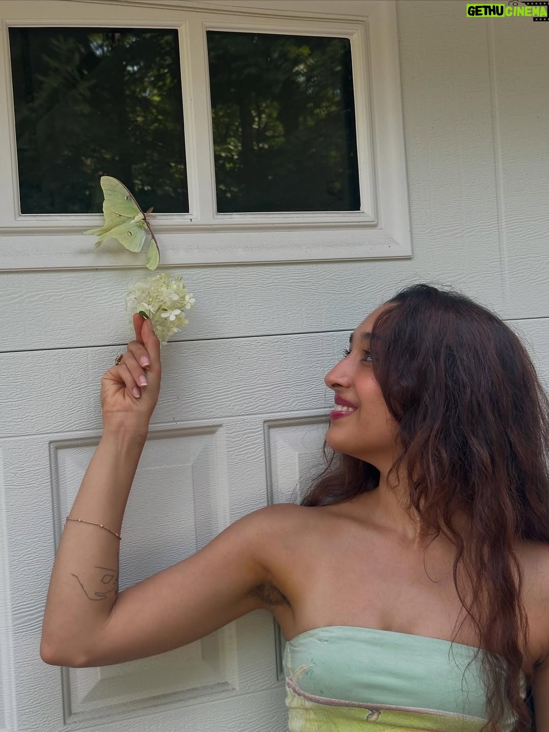 Raveena Aurora - 55.7K Likes - MAMA CAME BACK TO GIVE US A SIGN😭🦋🦋 after I was searching for the rare luna moth to see in person for the last 3 years - she appeared resting on our garage door for hours -  the same day we brought moms ashes home. All the magical coincidences of me also wearing a Luna moth dress on this day, of Pluto (the song about coming back after death as a butterfly) being her favorite song and the last song of mine she asked me to sing to her before she passed, of the same butterfly being sprawled all over the album covers and merch and now tattooed on my body, and the fact that it’s  so rare to see the Luna moth in person because of its nocturnal nature … it’s all too perfect and magical 🩵 Im starting to feel my angel all around me , even thru the endless tears 😭😭😭😭😭😭