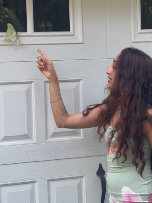 Raveena Aurora Instagram - MAMA CAME BACK TO GIVE US A SIGN😭🦋🦋 after I was searching for the rare luna moth to see in person for the last 3 years - she appeared resting on our garage door for hours -  the same day we brought moms ashes home. All the magical coincidences of me also wearing a Luna moth dress on this day, of Pluto (the song about coming back after death as a butterfly) being her favorite song and the last song of mine she asked me to sing to her before she passed, of the same butterfly being sprawled all over the album covers and merch and now tattooed on my body, and the fact that it’s  so rare to see the Luna moth in person because of its nocturnal nature … it’s all too perfect and magical 🩵 Im starting to feel my angel all around me , even thru the endless tears 😭😭😭😭😭😭