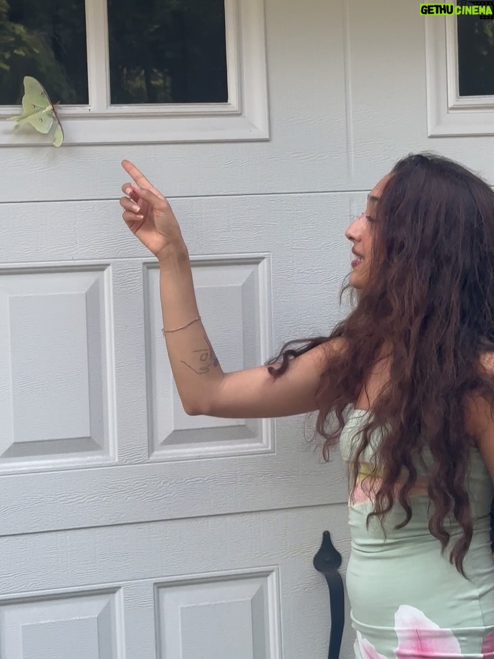 Raveena Aurora - 55.7K Likes - MAMA CAME BACK TO GIVE US A SIGN😭🦋🦋 after I was searching for the rare luna moth to see in person for the last 3 years - she appeared resting on our garage door for hours -  the same day we brought moms ashes home. All the magical coincidences of me also wearing a Luna moth dress on this day, of Pluto (the song about coming back after death as a butterfly) being her favorite song and the last song of mine she asked me to sing to her before she passed, of the same butterfly being sprawled all over the album covers and merch and now tattooed on my body, and the fact that it’s  so rare to see the Luna moth in person because of its nocturnal nature … it’s all too perfect and magical 🩵 Im starting to feel my angel all around me , even thru the endless tears 😭😭😭😭😭😭