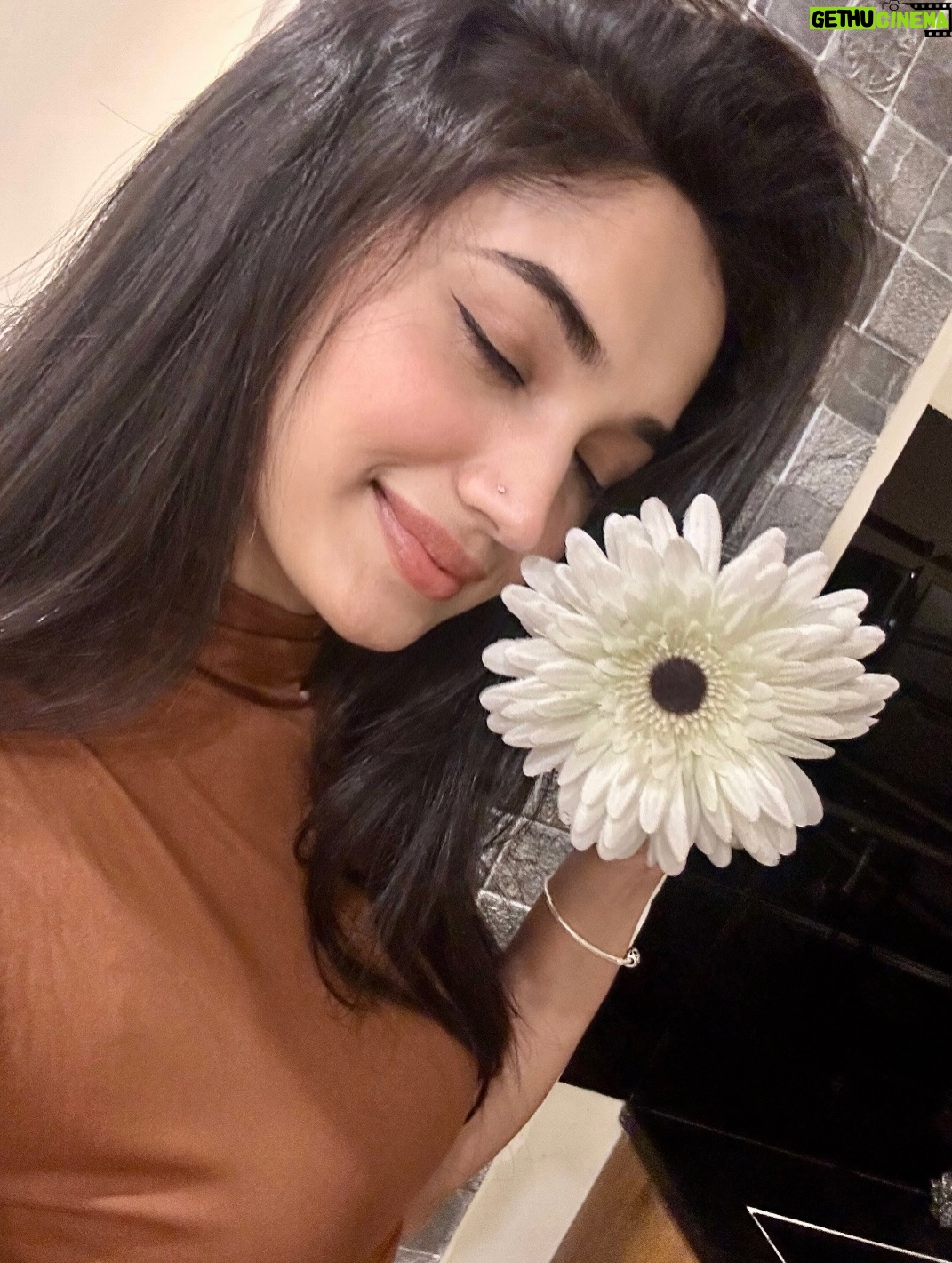 Reeshma Nanaiah - 109.7K Likes - Today feels like a fresh page. Sending love and good wishes to everyone. Hoping this year brings more love, happy moments, and many reasons to smile for all of us.
Wishing everyone a very Happy New Year ✨♥️
-Reeshu🎀