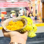 Reshma Shinde
