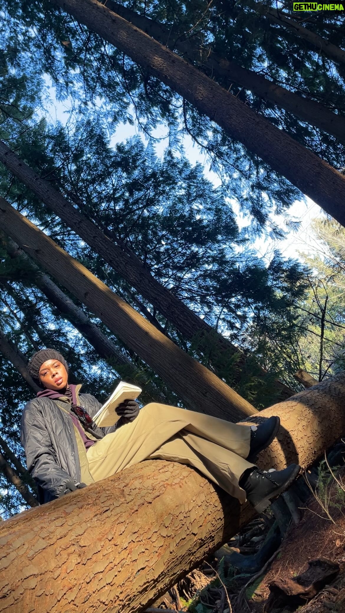 Rhinnan Payne - 50.8K Likes - Yes. Of course. Are you sure? Okay. okay. No problem. Yep. Got it. Yeah. 

❔❔❔❔❔❔❔❔❔❔❔❔

Another round of questions, another day in the woods. Good to be back in the trees. Thanks for sharing your answers I have written them all down and now I have the tedious task of adding them to your file. It’s a big file. So so much information but somehow it’s still not enough. I’ll be back to ask you more questions because I have more questions to ask. Until then, good luck and goodbye!

❔❔❔❔❔❔❔❔❔❔❔

#questionsquestionsquestions #answer #my #questions #please #about #yourname #musician #magician #season #birthday #born #astronaut #oldestperson #oldestfriend #59 #room #homedecor #waterpark #vegetable #icecream #yearround #ovenmitts #hideandseek #eyebrows #😬 #teeth #alright #thankyou #goodbye