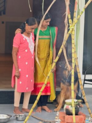 Shalini Balasundaram Instagram - A celebration of gratitude, growth, and grace. Happy Pongal #shalinibalasundaram #pongalcelebration