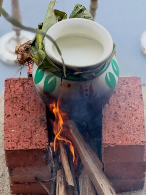 Shalini Balasundaram Instagram - A celebration of gratitude, growth, and grace. Happy Pongal #shalinibalasundaram #pongalcelebration