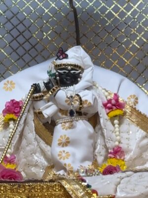 Sneha Wagh Instagram - Its You Its You … Its Always You … Shri RadhaRaman 💝
Radhe Radhe 
Good Bye 2025 … Welcoming 2026 from my heart that is lost in Vrindavan …
.
.
.
#vrindavan #shriradharaman #radheradhe #snehawagh #2026