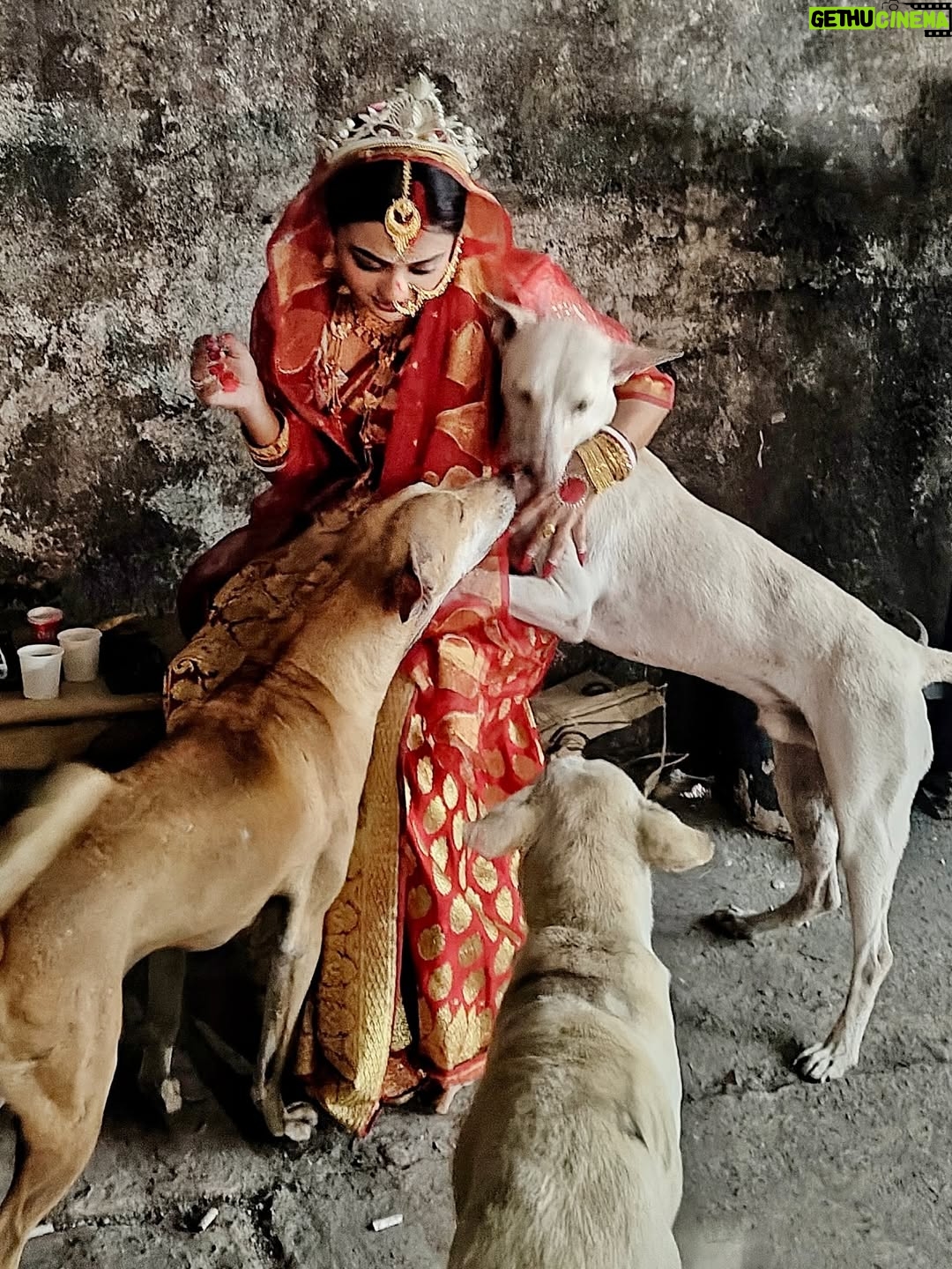 Solanki Roy - 39K Likes - বেনারসী আর একরাশ ভালোবাসা ♥️🐾

#MilonHobeKotoDine @starjalsha 

#BehindTheScenes #Ela #SolankiRoy #BengaliSerial