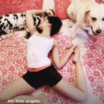 Sonnalli Seygall