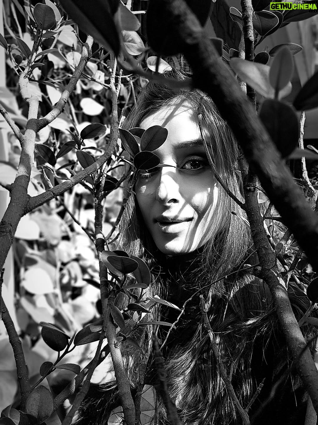 Suzanna Mukherjee - 3 Likes - The secret life of trees

#booksthatchangedmylife #theartistsway