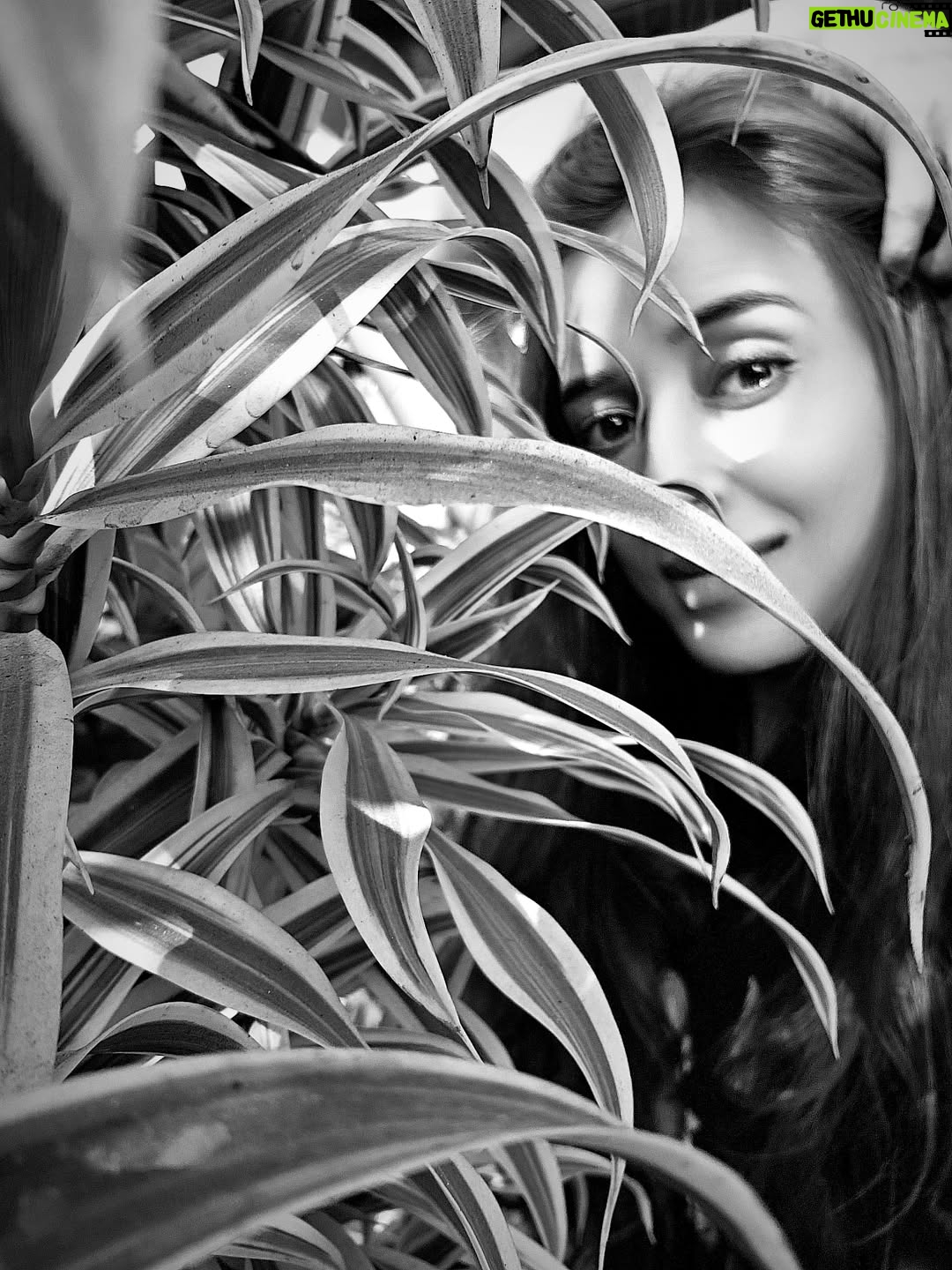 Suzanna Mukherjee - 3 Likes - The secret life of trees

#booksthatchangedmylife #theartistsway