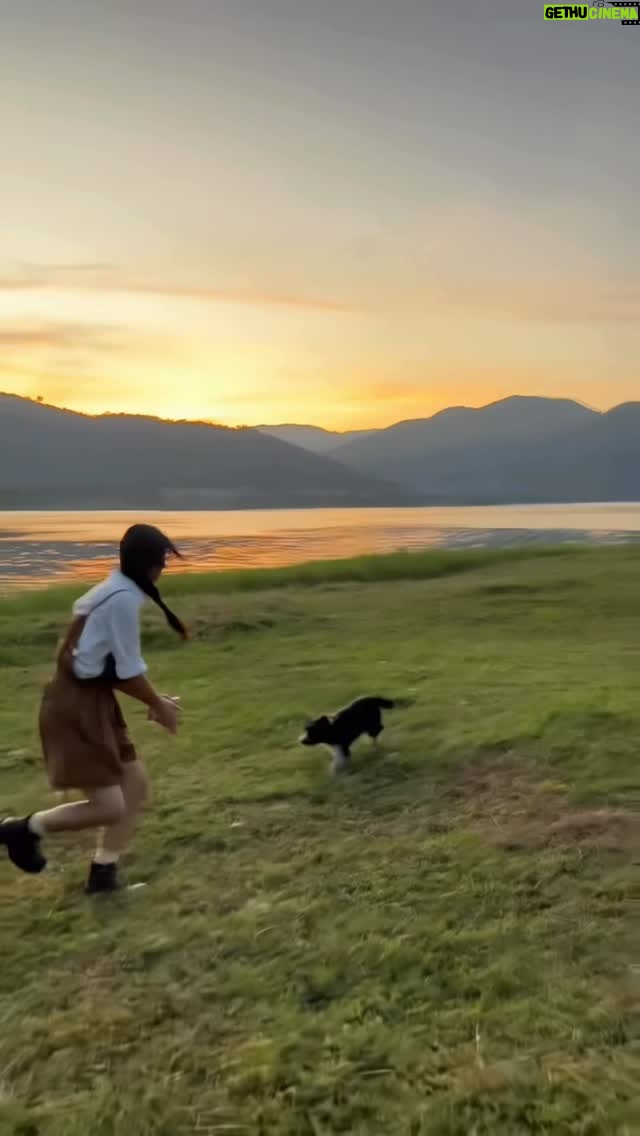 Thasorn Klinnium - 182K Likes - 1 year 🐇🐕‍🦺🌅