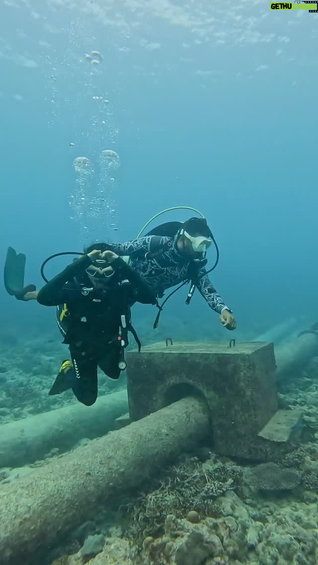 Vaishnavi Arulmozhi - 153.6K Likes - Scuba in Lakshadweep ❤️❤️❤️
Thank you : @tortuga.adventures.in